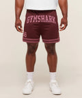 Varsity Mesh Shorts