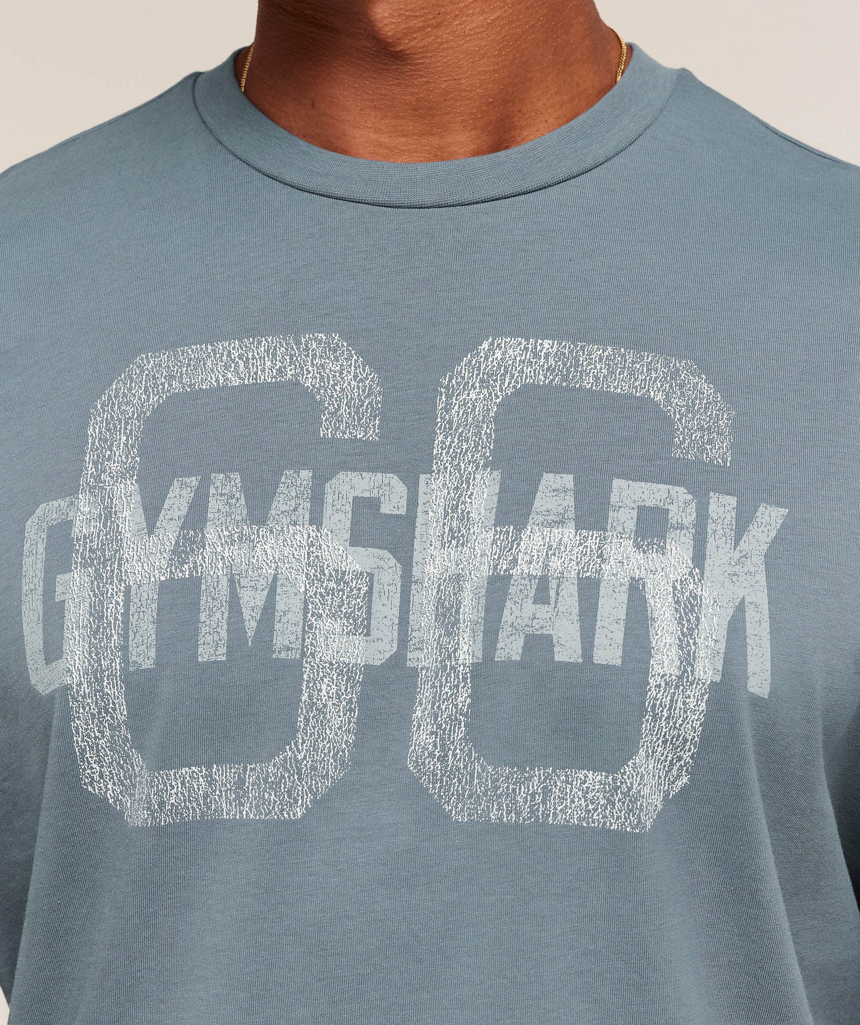 GS66 T-Shirt - Iron Blue