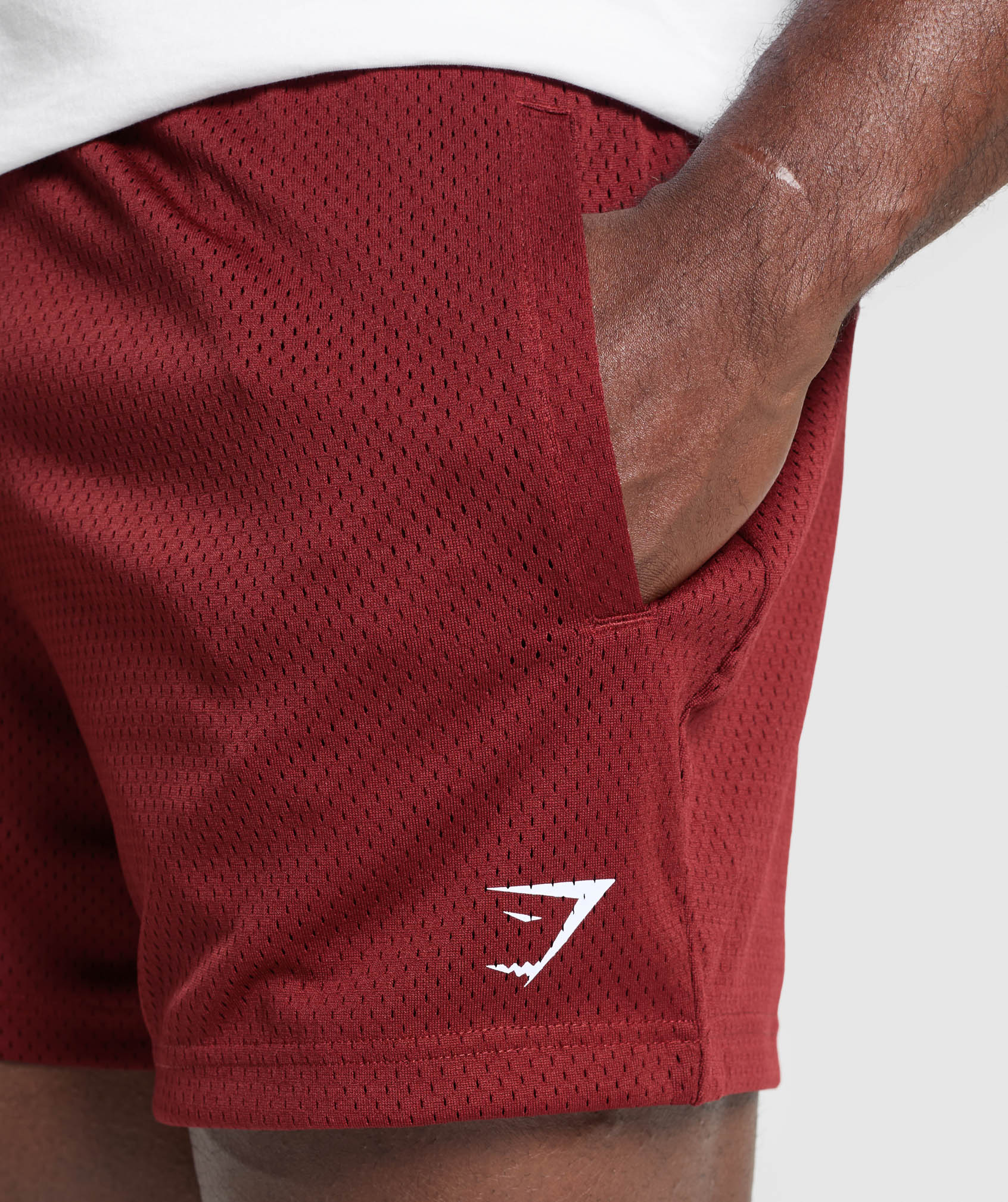 Lifting Mesh 5" Shorts