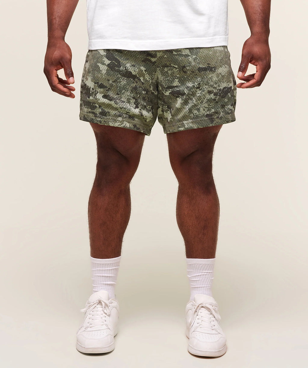 Lifting Mesh 5" Shorts-Chalk Green