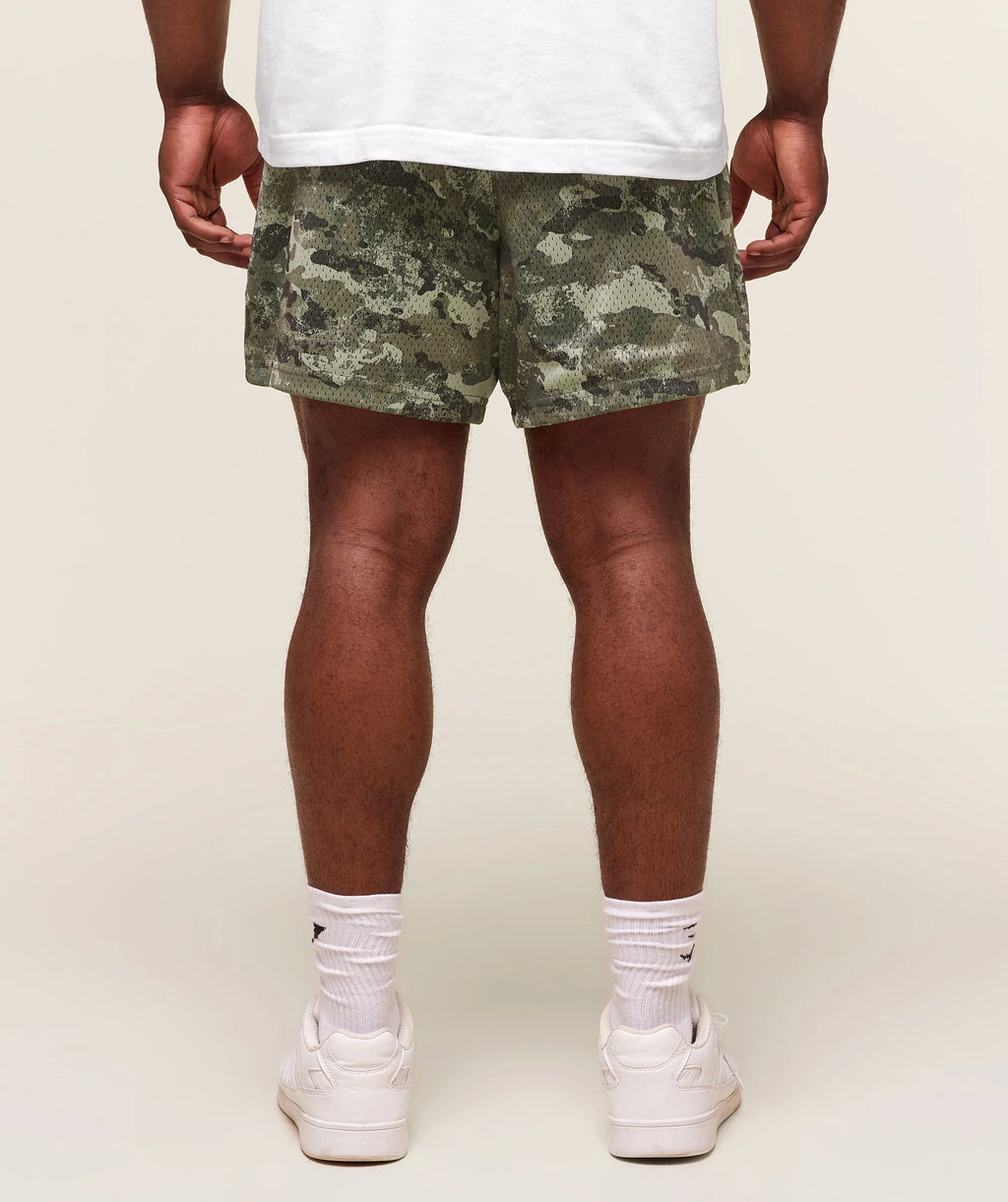 Lifting Mesh 5" Shorts-Chalk Green