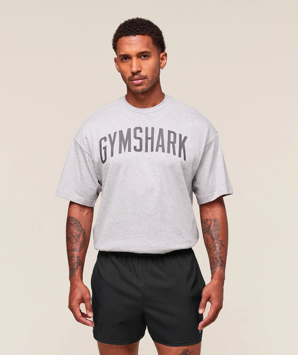 Worn Graphic T-Shirt - Grey