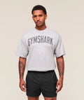 Worn Graphic T-Shirt - Grey